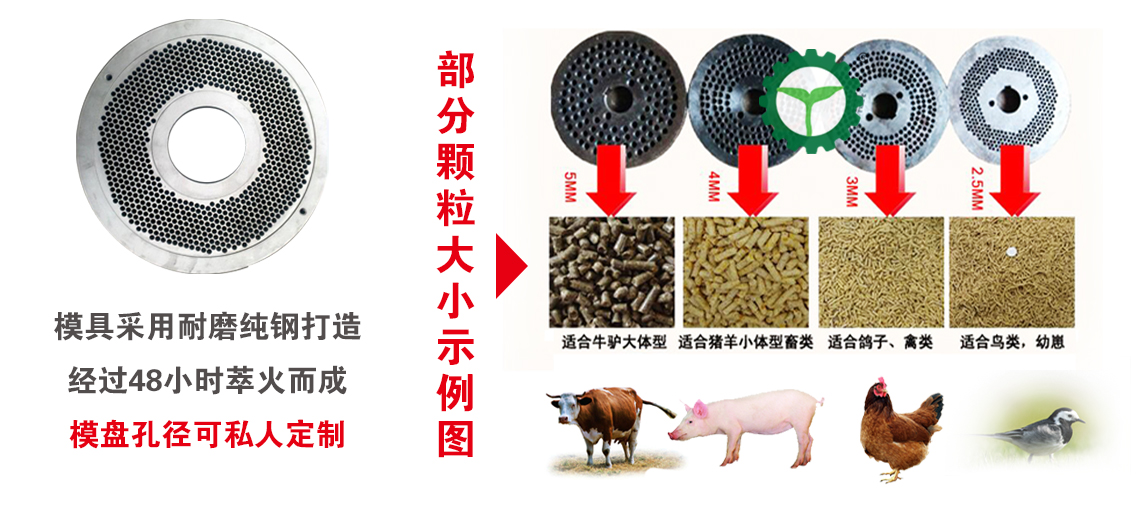 成品展示.jpg 成品展示.jpg