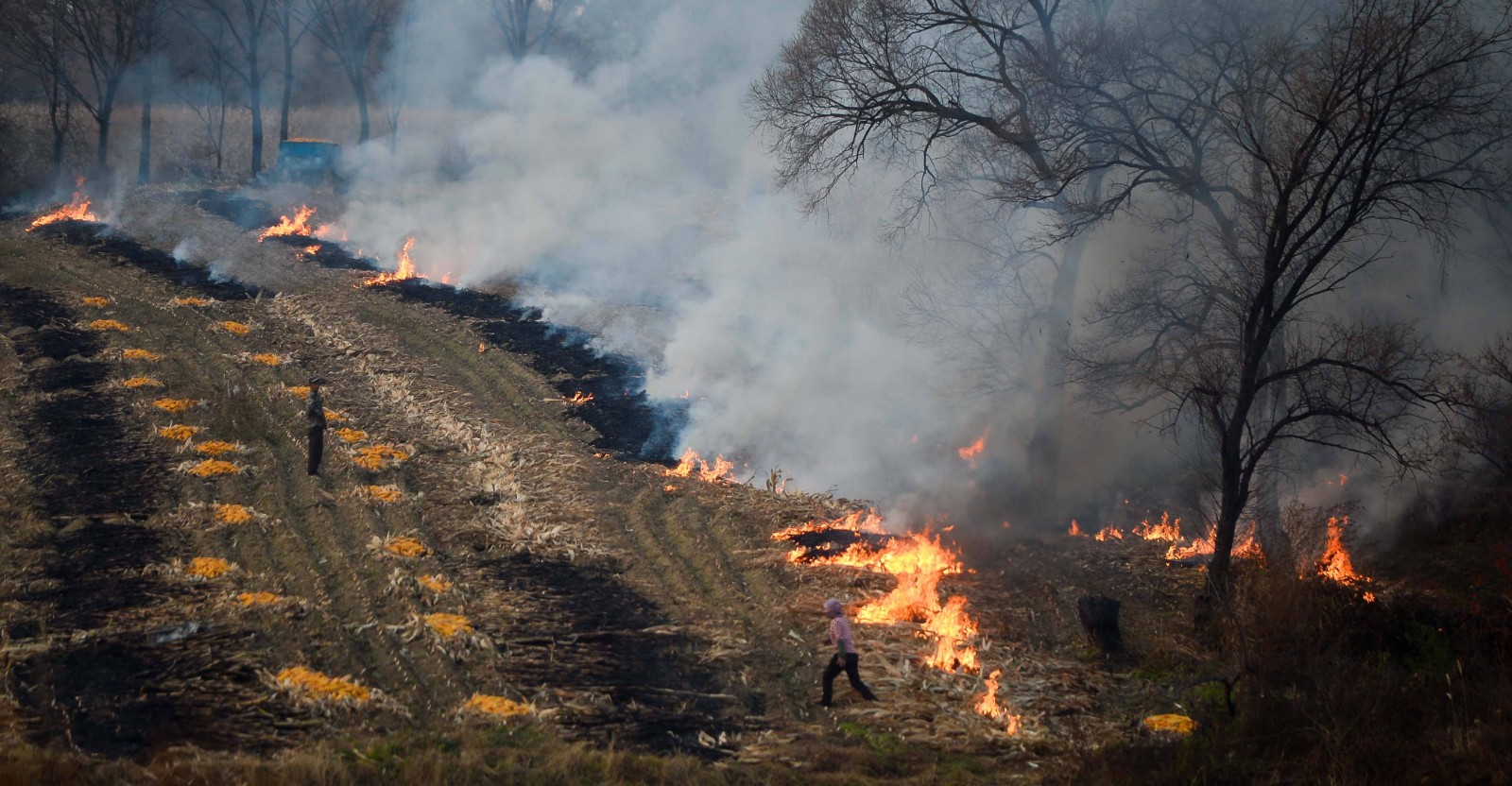 秸稈焚燒 秸稈焚燒
