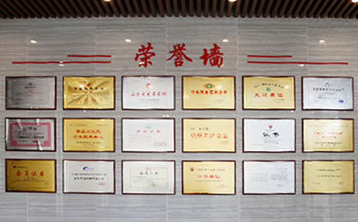 金格瑞榮譽墻 金格瑞榮譽墻