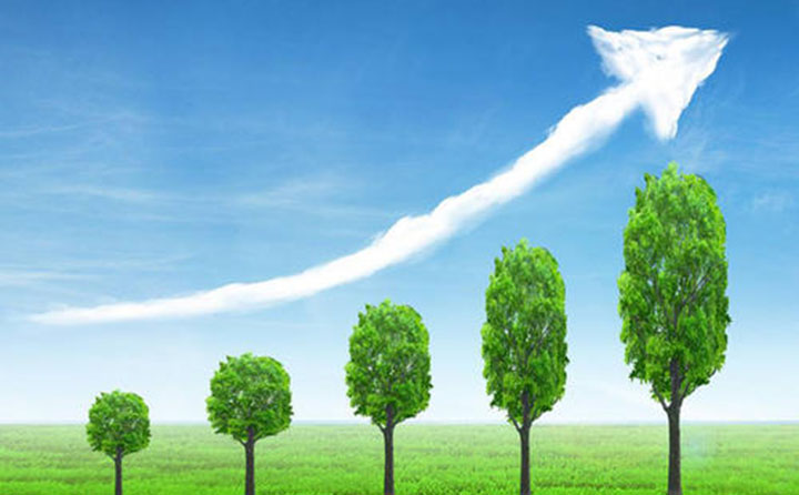 分階段目標(biāo) 分階段目標(biāo)