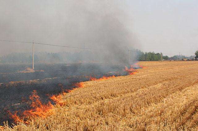 秸稈焚燒產生大量煙塵 秸稈焚燒產生大量煙塵