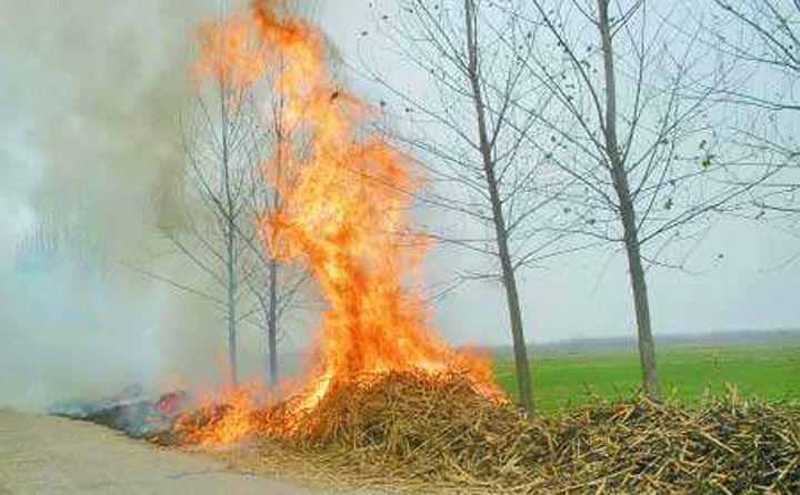 農(nóng)民露天焚燒秸稈 農(nóng)民露天焚燒秸稈