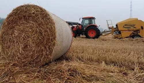秸稈綜合利用 秸稈綜合利用
