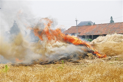 秸稈焚燒導致煙霧彌漫 秸稈焚燒導致煙霧彌漫