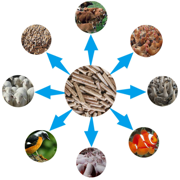 生物質飼料顆粒多用 生物質飼料顆粒多用