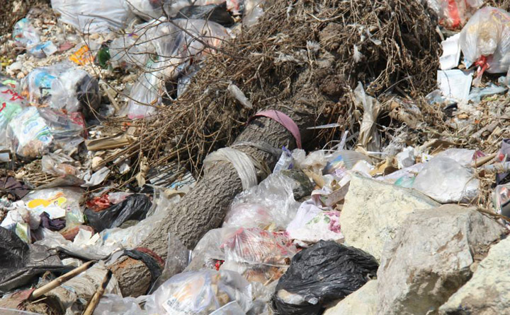 農林廢棄物.jpg 農林廢棄物.jpg