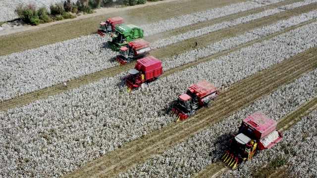 機械化采摘的新疆棉花收獲場景 機械化采摘的新疆棉花收獲場景