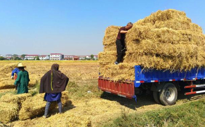 以農作物秸稈及殼皮等原料生產電力等產品實行減按90%計入企業所得稅收入總額.jpg 以農作物秸稈及殼皮等原料生產電力等產品實行減按90%計入企業所得稅收入總額.jpg