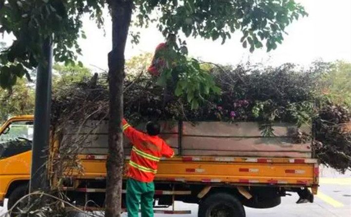 園林綠化廢棄物再利用,南京棲霞年處理量超3萬噸.jpg 園林綠化廢棄物再利用,南京棲霞年處理量超3萬噸.jpg