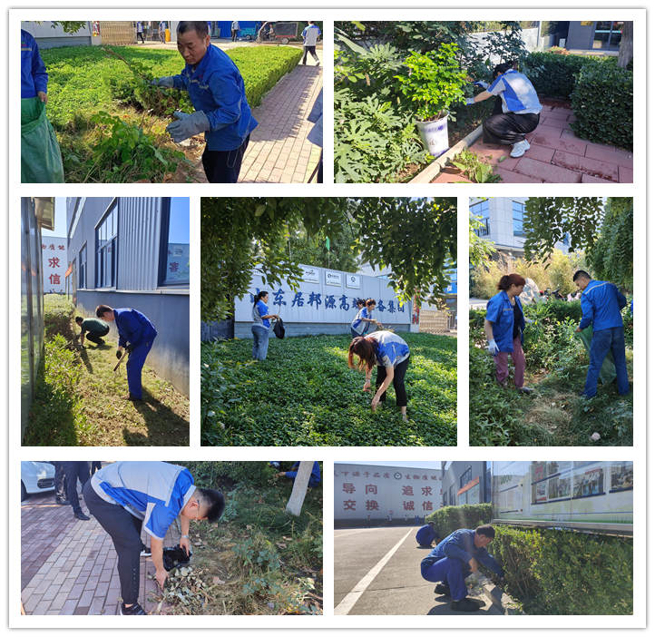 大家清掃、拾撿綠化帶垃圾,清理路邊縫隙死角內的煙頭和雜物.jpg 大家清掃、拾撿綠化帶垃圾,清理路邊縫隙死角內的煙頭和雜物.jpg